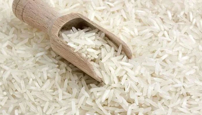 Representational image of rice. — Unsplash/File