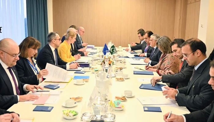 Delegations of Pakistan and EU during a meeting in Brussels, Germany, on November 22, 2025. — X/@ForeignOfficePk
