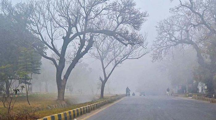 Cold, dry spell to persist: PMD