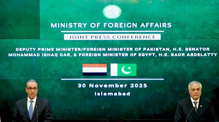 Pakistan, Egypt move to boost trade with 250-firm white list