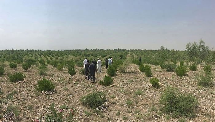 This representational image of state land. — The News/File