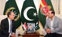Egyptian FM Calls On COAS