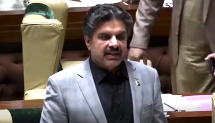Sindh Local Government Minister Syed Nasir Hussain Shah is speaking in the Sindh assembly on December 2, 2025. — Facebook@SNasirHussainshah/Screengrab