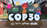 Fossil Fuels At COP30