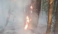 Raging Forest Fire In Dir Worries Residents