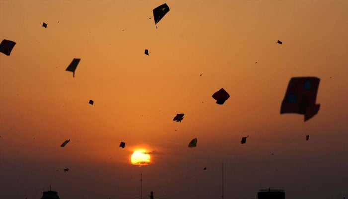 Kites flying in sky. —TheNews/File