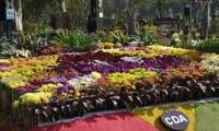 Flowers Exhibition Starts
