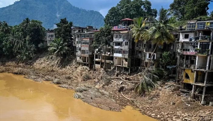 Uprooted trees lie along damaged buildings following a landslide in the aftermath of Cyclone Ditwah in Gampola town, in Kandy district on December 4, 2025. — AFP