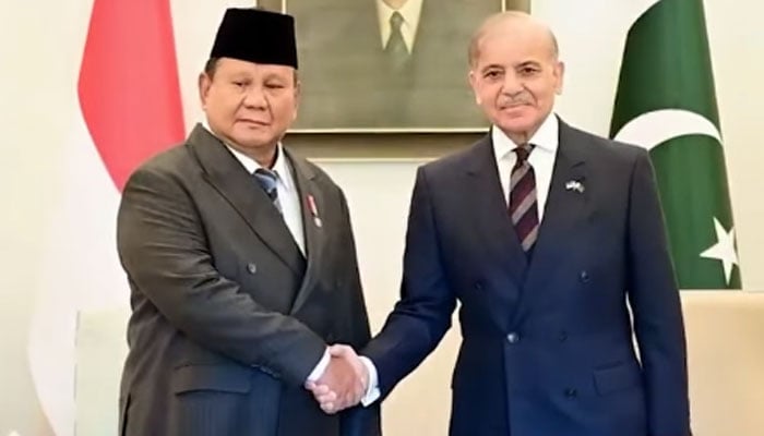 Prime Minister Muhammad Shehbaz Sharif shaking hand with President of Indonesia H.E. Prabowo Subianto.—Screengrab via Facebook@GovtofPakistan