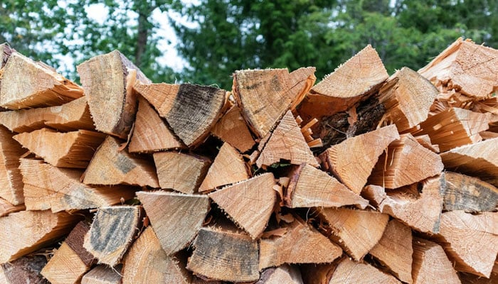 This representational image shows firewood. — Unsplash/File