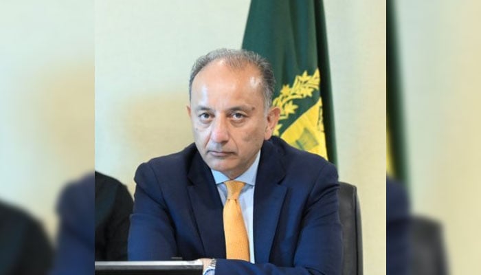 Minister for Climate Change Dr Musadik Malik. — X@Team_Musadik/File