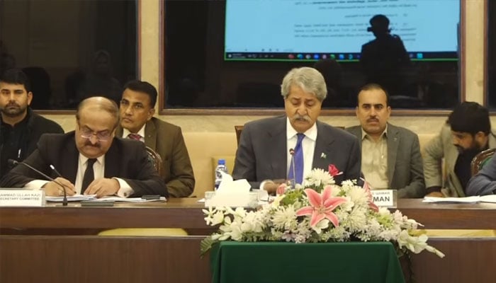 Syed Naveed Qamar chairing thr meeting of National Assembly’s Standing Committee on Finance, December 10, 2025. —Screengrab via Facebook@NationalAssemblyOfPakistan