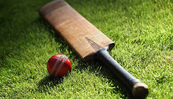 A representational image of bat and ball. — PTV/File