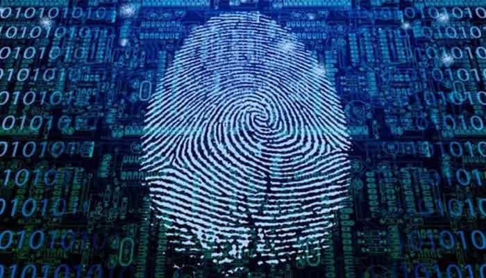 The image is a digital representation of a fingerprint, commonly associated with biometric security and authentication. — Unsplash/File