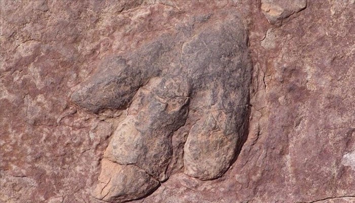 A dinosaur footprints on a rock. —Anadolu/File