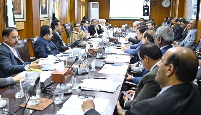 Chairperson Senate Standing Committee on Planning, Development and Special Initiatives, Senator Quratulain Marri, chairs a meeting of the Senate body at Sindh Secretariat on December 17, 2025. — APP