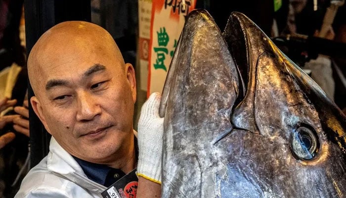 A member of staff holds up a head of a 243-kilogram bluefin tuna at the sushi restaurant Sushizanmai in Tokyo on January 5, 2026. —AFP