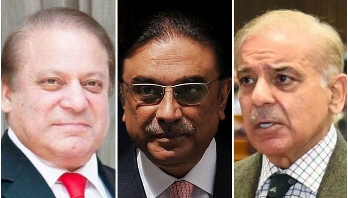 PML-N supremo Nawaz Sharif, President Asif Zardari and Prime Minister Shahbaz Sharif.  — TheNews/File