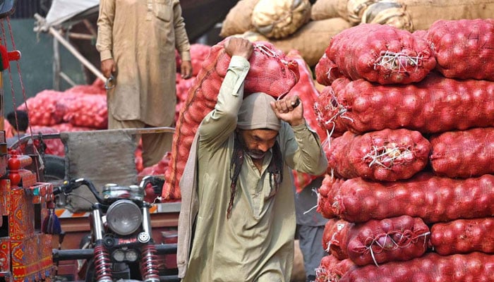 Labourers unloading sacks of onion from a delivery truck at the Islamabad Fruit and Vegetables market as the world celebrates International Labour Day on May 1, 2025. — APP