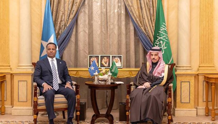 Saudi Foreign Minister Prince Faisal bin Farhan met with Somalia’s Minister of Foreign Affairs and International Cooperation, Abdulsalam Abdi Ali, in Riyadh on Sunday. —SPA