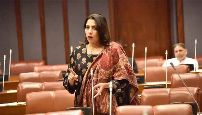 Pakistan Peoples Party Senator Palwasha Khan speaks on the floor of Senate, Islamabad, April 29, 2024. — X/@OfficeSenate
