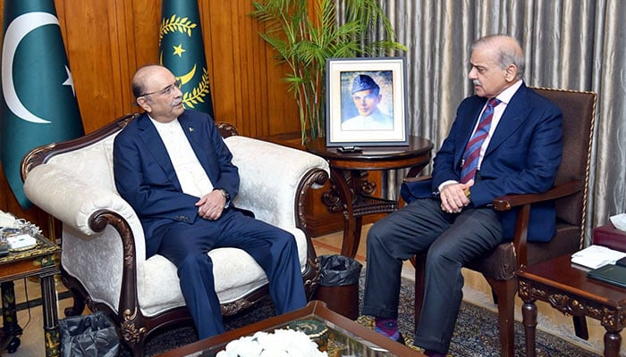 Representational image of PM Shehbaz Sharif calls on President Asif Ali Zardari at Aiwan-e-Sadr on July 15, 2025. — APP