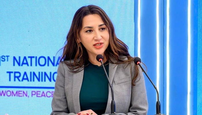 US Deputy Chief of Mission in Islamabad Natalie A Baker speaking at a ceremony on November 29, 2024. — Facebook@USAIDPakistan