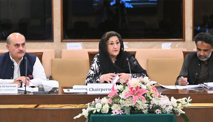 MNA Nuzhat Sadiq is chairing the National Assembly Standing Committee on Government Assurances at Parliament House. —Facebook@NationalAssemblyOfPakistan/File
