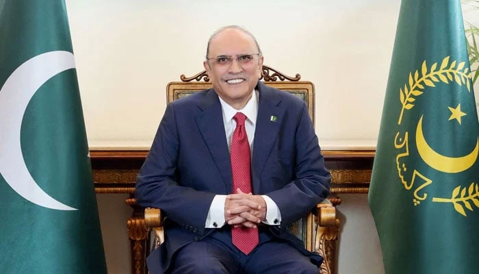 President Asif Ali Zardari poses for a photo in this undated image. — President House website/File