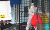 Health Planners On Alert After Nipah Virus Emergence In India