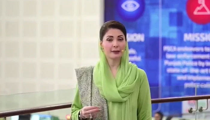 Punjab Chief Minister Maryam Nawaz addressing an event at the Basant control room on precautionary measures in Lahore on February 3, 2026. — YouTube/Geo News/screengrab