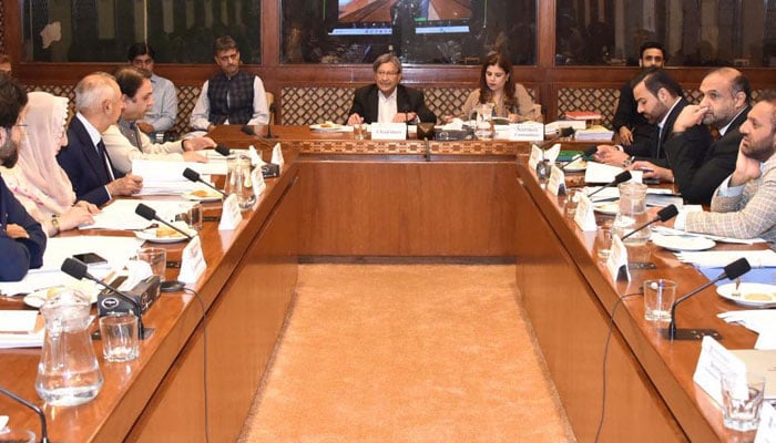 The Senate Standing Committee on Law and Justice is seen in progress chaired by Senator Farooq Hamid Naek on September 4, 2025. — Facebook@Pakistansenate/File