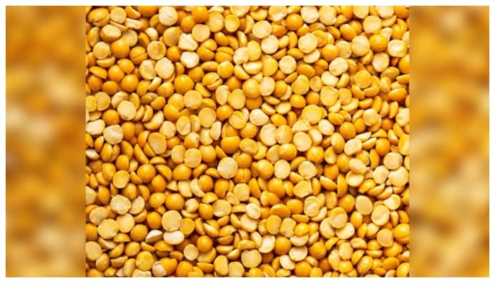 This representational image shows chickpeas lentil (Daal Chana). — Unsplash/File