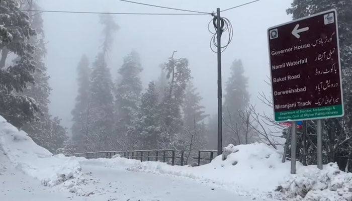 The image shows snowfall in Galiyat on February 10, 2026. — Facebook@gdaabbottabad/Screengrab