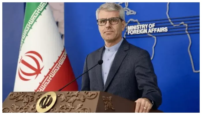 Iran’s Foreign Ministry spokesman Esmaeil Baghaei. — MFA Iran website /File