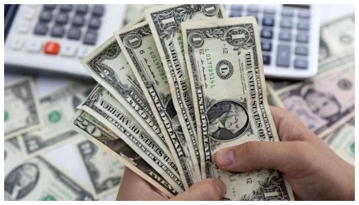 A representational image of US dollar bills. — Reuters/File