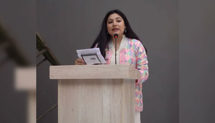 Noor Ahmed, curator of Karachi Biennale, talks about the upcoming biennale on February 13, 2026. — Screengrab via Facebook@KarachiBiennaleTrust