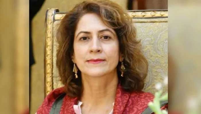 An undated photo of former information and broadcasting secretary Ambreen Jan. — APP/File