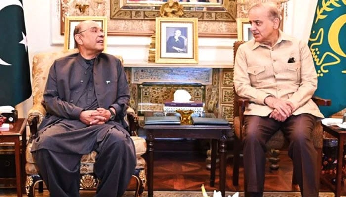 Prime Minister Muhammad Shehbaz Sharif (right) meets President Asif Ali Zardari at Governor’s House Lahore on June 1, 2025 to discuss the prevailing political and security situation of the country. — APP