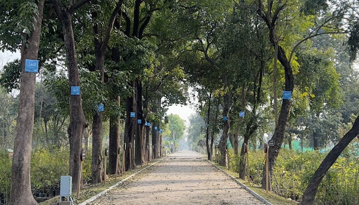 The image shows a place in the federal capital, Islamabad. — Facebook@greenislamabadofficial