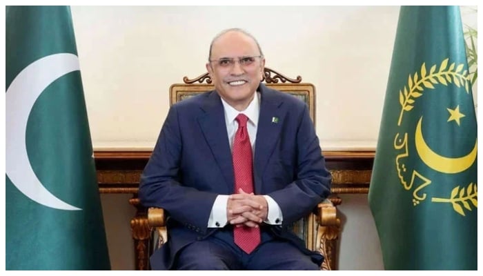 President Asif Ali Zardari poses for a photo in this undated image. — President House website/File