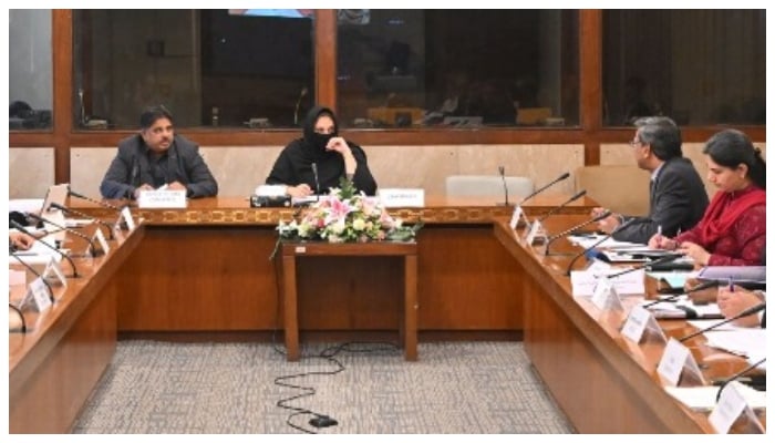 Syeda Nousheen Iftikhar, MNA, chairing the meeting of the National Assembly’s Standing Committee on Human Rights, February 16, 2026. —NA website
