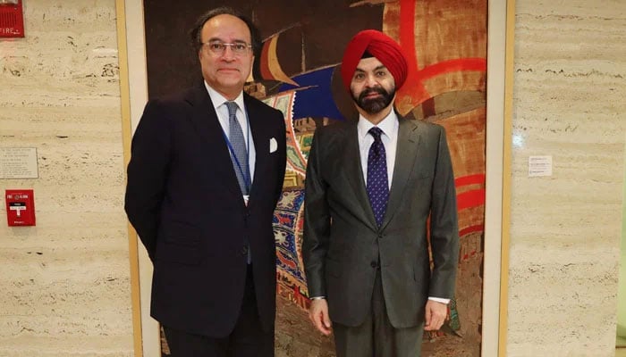 Finance Minister Muhammad Aurangzeb (left) meets Ajay Banga, President World Bank Group. — PID/File