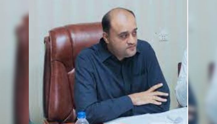Karachi Deputy Mayor Salman Abdullah Murad. — APP/File