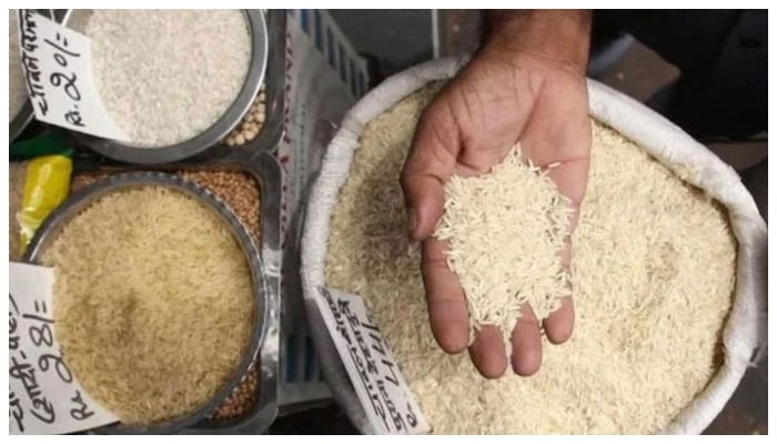 A representational image of a person showing rice. — AFP/File