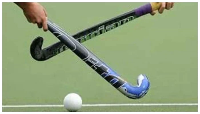 Representational image of hockey. — TheNews/File