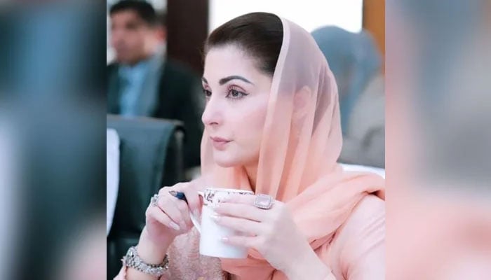 Punjab Chief Minister Maryam Nawaz. — Instagram/@maryamnawazofficial