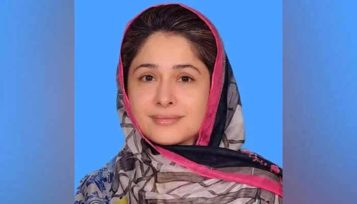 This image shows the Pakistan Tehreek-e-Insaf/ Sunni Ittehad Council (PTI/SIC) Member National Assembly Shandana Gulzar. — Facebook/Shandana Gulzar/File