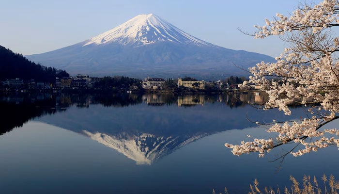 General view of cherry blossom trees with Mount Fuji in the background at Lake Kawaguchiko, Fujikawaguchiko, Japan, April 14, 2024. — Reuters