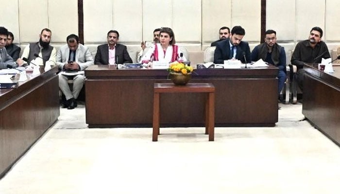 Senator Samina Mumtaz Zehri chairing the meeting of the Senate Functional Committee on Human Rights, February 24, 2026. —Senate of Pakistan website